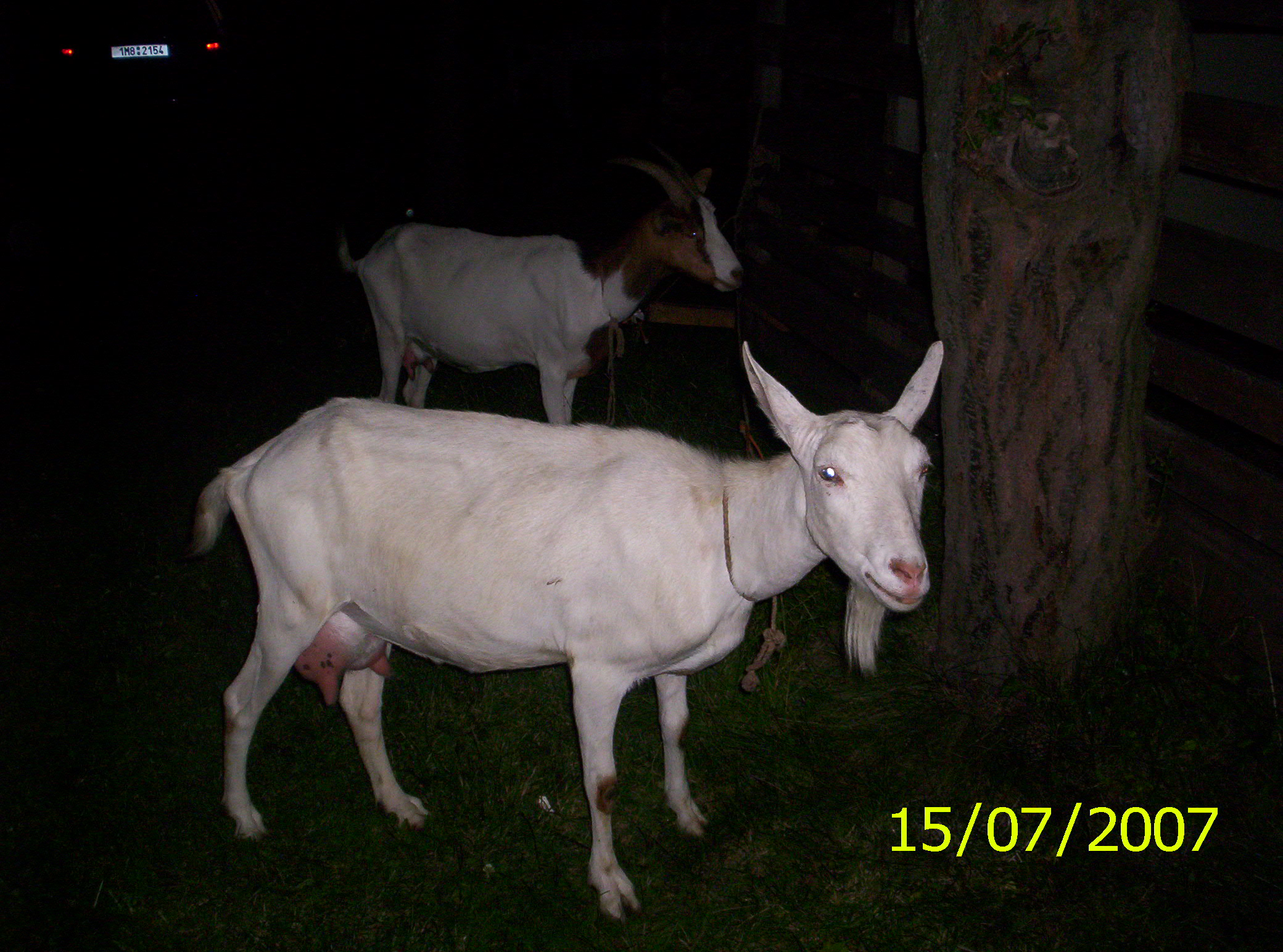 100_0512.jpg